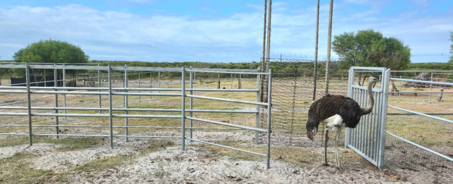 0 Bedroom Property for Sale in Franskraal Western Cape